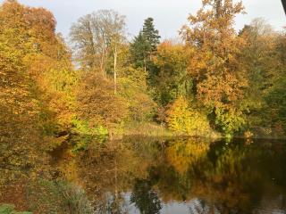 Gartenhaus Marienthal - 8