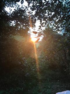 The Shangri La sunset yurt - 2