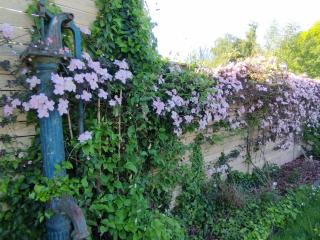 Gîte du jardin d'Eole de Villers-Sire-Nicole - 2