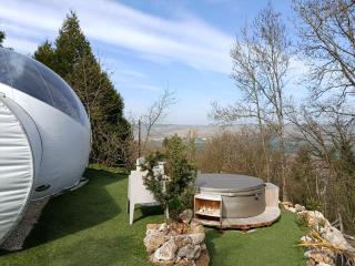 Les Bulles du Coq de Champagne - 7