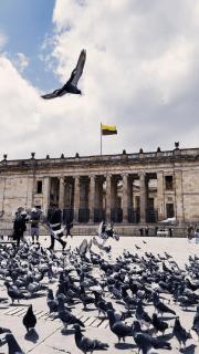 Delgadillo Hotel by Socialtel - 8