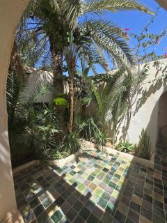 Dar Daoud - Les Houchs De Djerba - 4