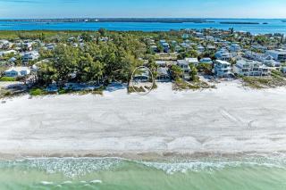 Fins to the Right - On the Gulf of Mexico! Beach! - 0