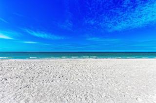 Fins to the Right - On the Gulf of Mexico! Beach! - 4