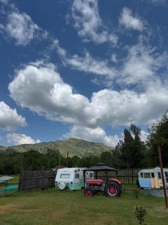 Glamping Shasta at Winery Near Sequoia - Dale - 7