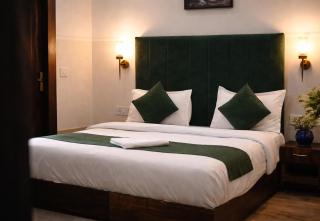 Saffron Inn - Near India Expo Mart - 9