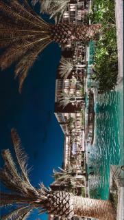 Porto 2 Life Resort - 4