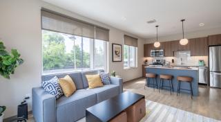 Elysian 4 bedroom 3 bathroom Suites - 9
