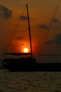 FEHIVILLA RESIDENCE Dhangethi - Dhangethi - 2