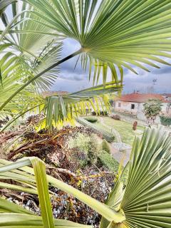 Apartment Altura - 5