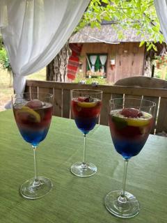 Lipova korita-Linden troughs - 4