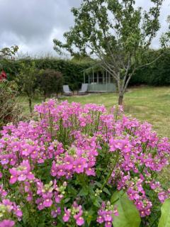 Large seaside Manorbier cottage - 5