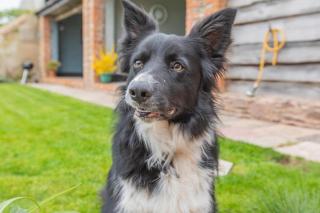 1 Bed in Taunton oc-bartc - 5