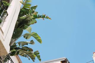 CŌRA Ortigia - 3