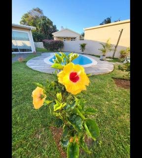 Secure Gated Villa Surrounded by Nature - 5