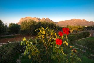 Skamagkas G. Apartments - 4