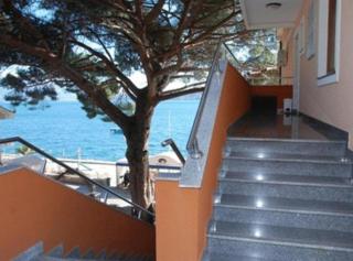 Fiammanti Hotel Montenegro - 1