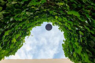 Casa Pitera - Encanto y Relax en Formentera - 6