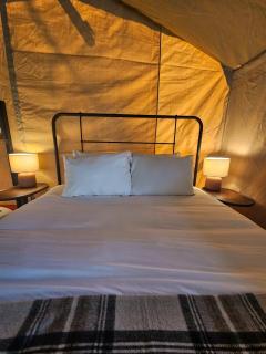 Roamstead Smoky Mountains - 5