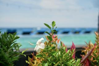 Kampung Kecil Beach Front Boutique Hotel - 8