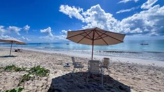 Mila Rooftop - Praia de Tamandaré - 3