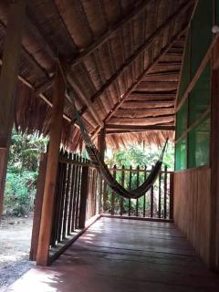 Lilies Of The Field - 3