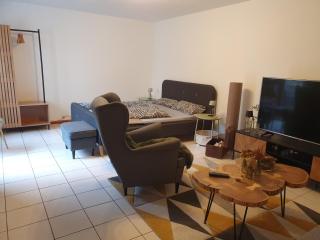 Ferienwohnung in Durbach- Urlaub am Weinberg - 8