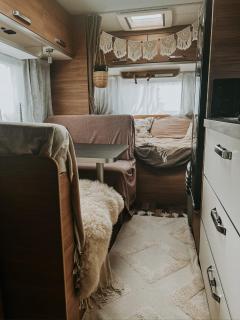 Sleep with Alpacas I Glamping Retreat in National Park Thy - 2