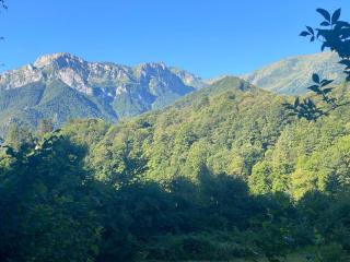 Relax, Comfort & Alps Adventures - 8