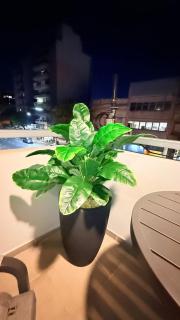 Vie Soho Boutique - Elegance apartment - 6