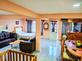 El paraíso de Zacatlán DEPARTAMENTO con JARDÍN y Lumbrera, 11 personas - 5