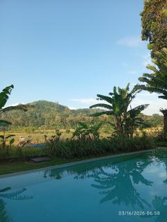 Blauwtuin Yogyakarta - 5