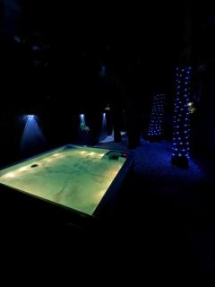 Outdoor Movies, Hot Tub, Fire Pit & Near AMI 7 miles away - 7