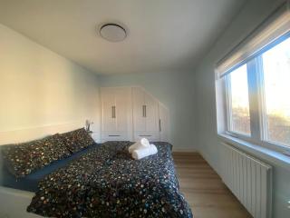 Homey Downtown Private Family Suites - 1