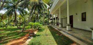 Coco Villa - 3
