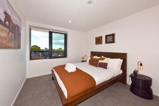 Fresh 1 Bedroom Apartment Close to Te Kaha Stadium - 1