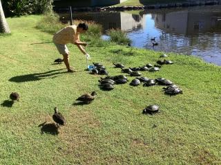 Birdsong Nook - 300m to Beach - Resort Pool - 3