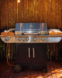 Omghat Glamping - Domo Sarasvasti - 1