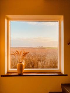 Bright House With Field View In Österlen - 3