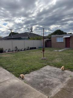 Central Springvale - Beautiful and spacious queen-bed room - 1