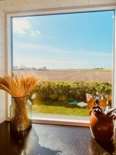 Bright House With Field View In Österlen - 1