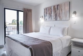 212-Fully Furnished 1BR Suite-Outdoor Pool - 4