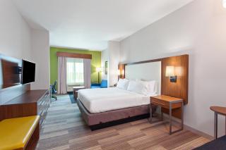 Holiday Inn Express & Suites Houston S - Medical Ctr Area by IHG - Houston - 8