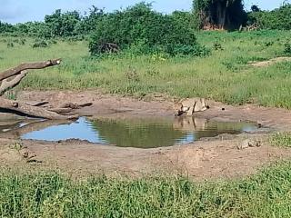 Luxe Residence Guest House - 7