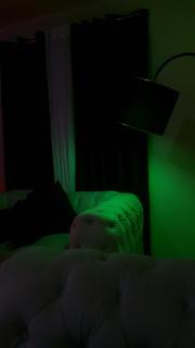 Fedha gate b one bedroom bnb appartment - 3