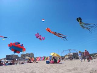 ZEcamping 3 animé avec club enfant toboggans restaurant et piscine - 3