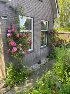 Berkmeerdijk - 1