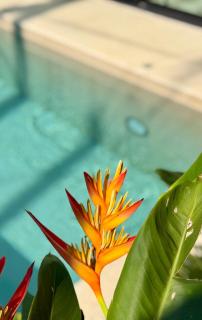 Samma Villas - Agate Villa - 1 BDR & private pool - 4