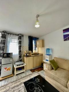 Cosy Rooftop Apartment near JKIA - 8