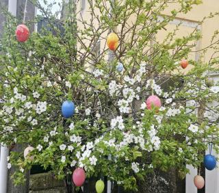 Dresden Rooftop Apartment mit 2 Balkone, Stellplatz, Top Anbindung - Dresden - 8